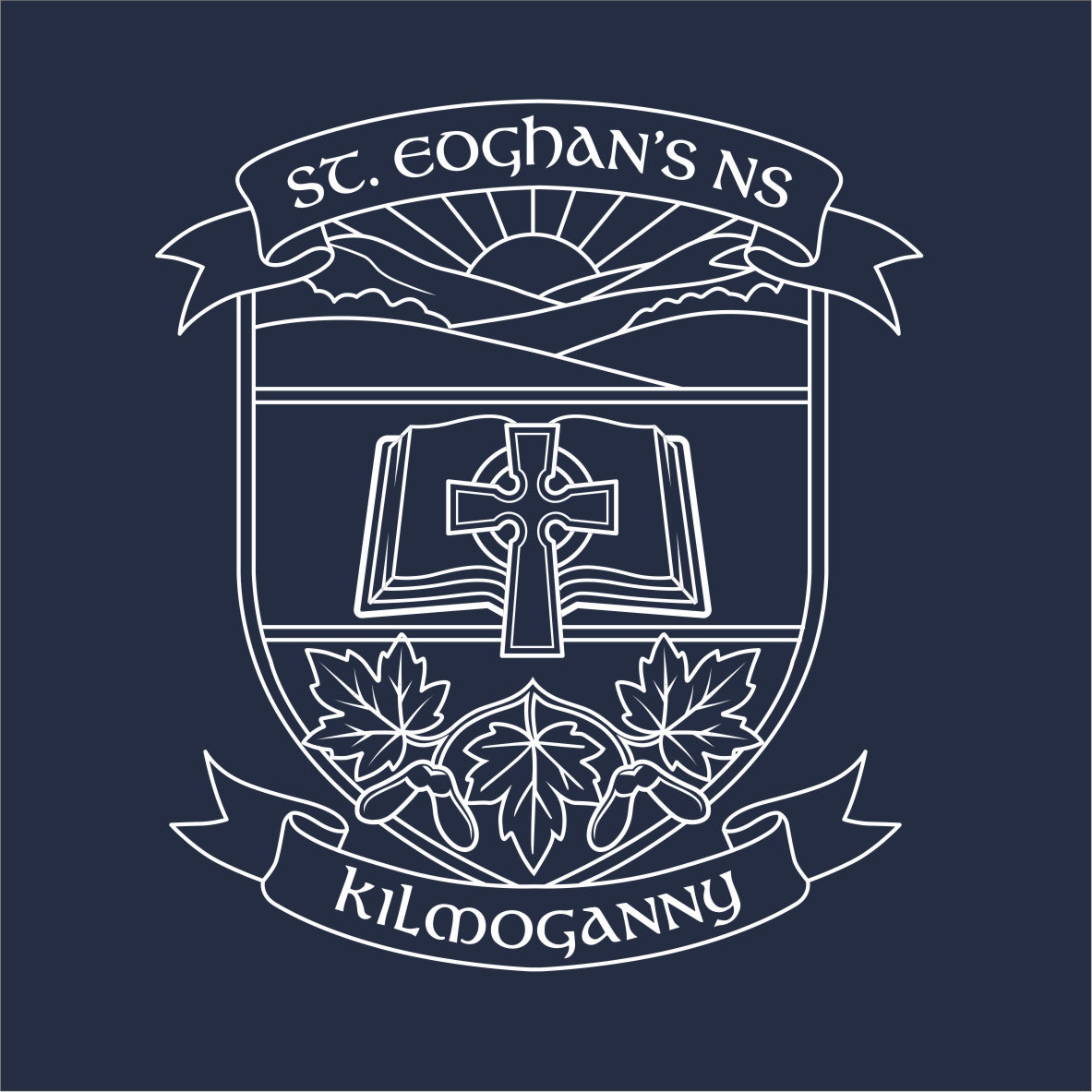 st-eoghan-s-ns-kilmoganny-pre-order-portal-intosport