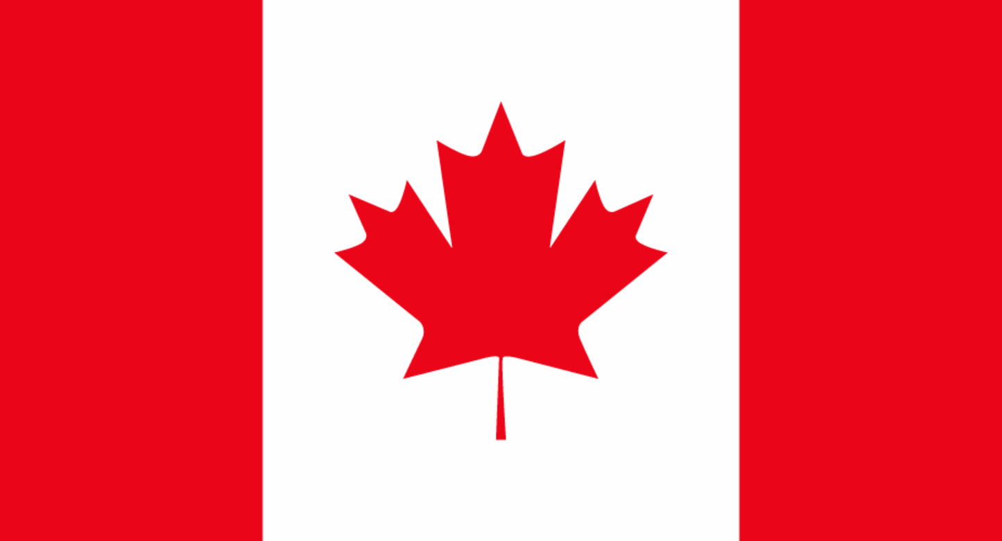 International Flags 5x3