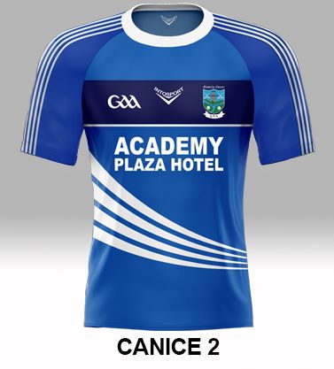 Official LGFA Training Top (Jersey)