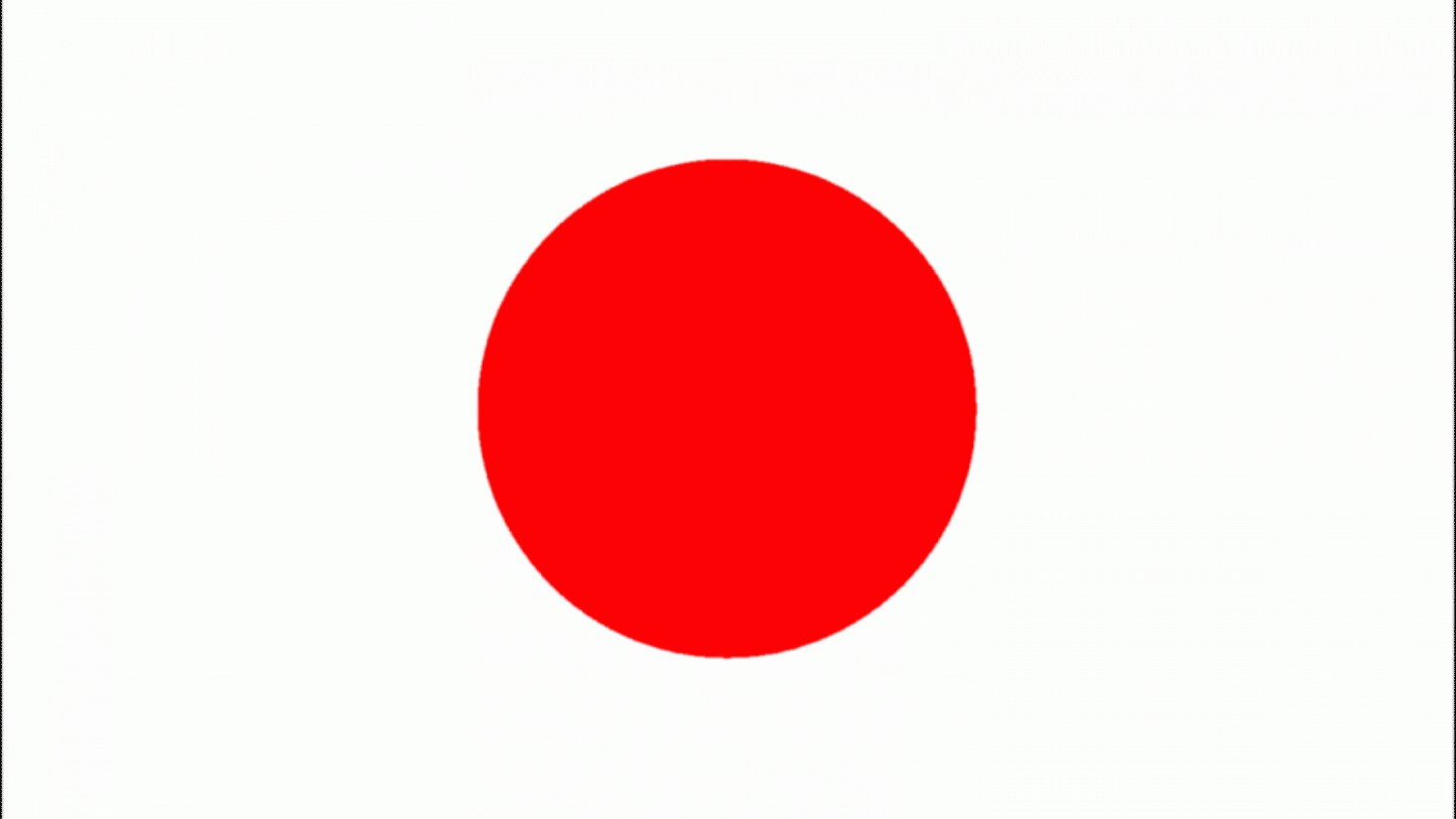 International Flags 5x3