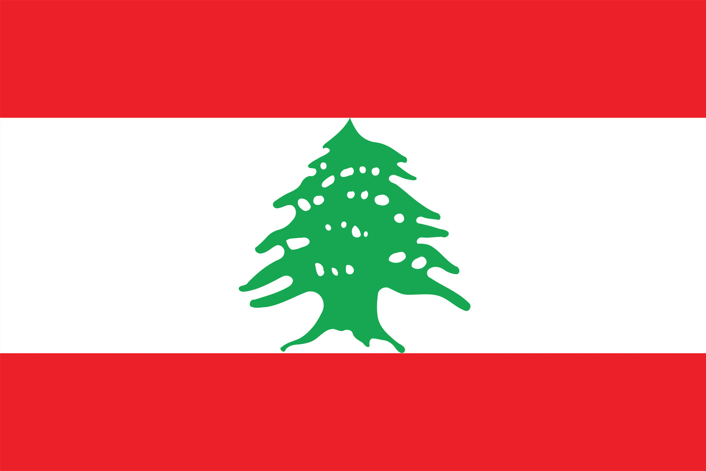 International Flags 5x3