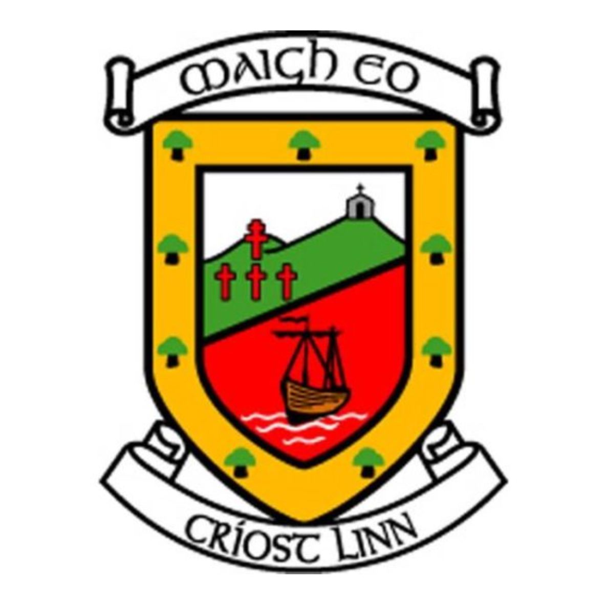 Mayo GAA Flags