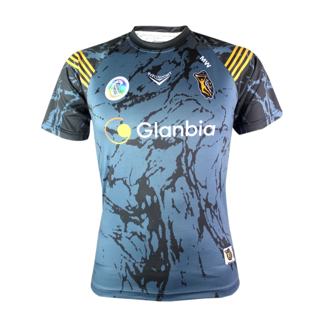 Official Camogie Training Top (Jersey)