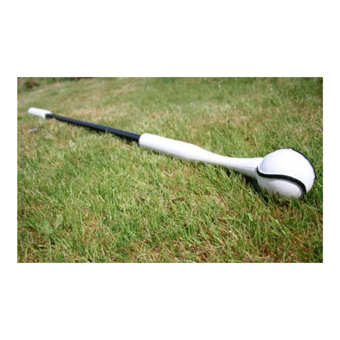 Pole Trainer Pack of 2