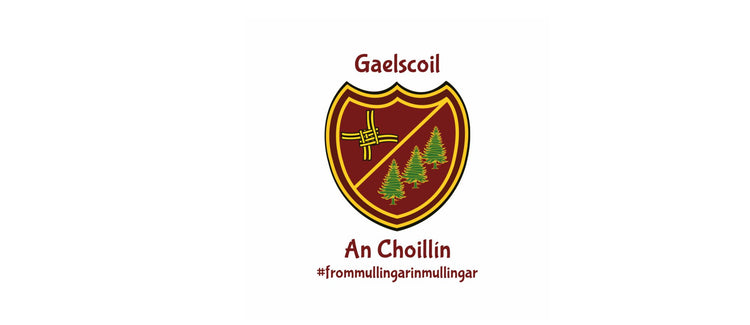 Gaelscoil An Choillín