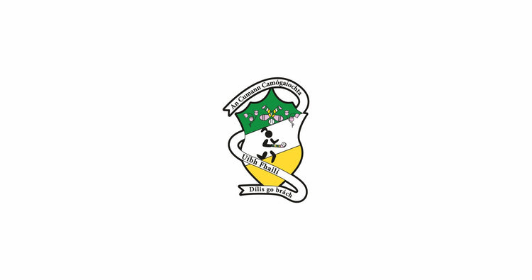 Offaly Camogie