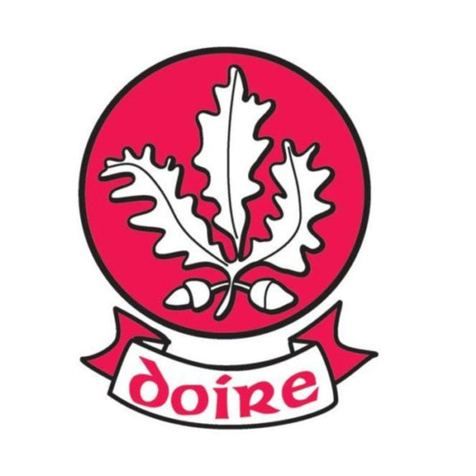 Derry GAA Flags