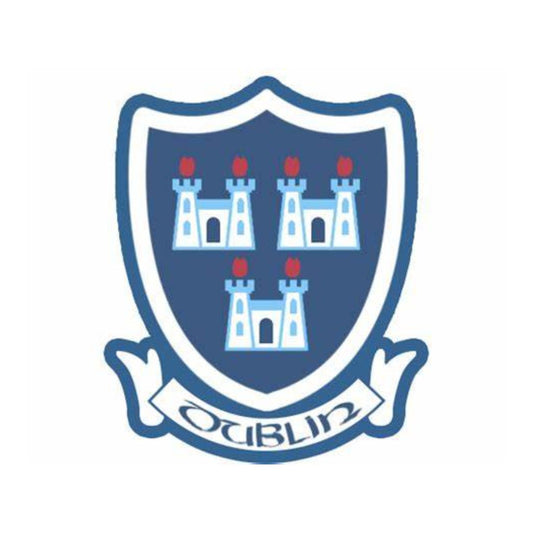 Dublin GAA Flags