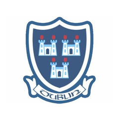 Dublin GAA Flags