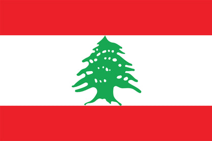 International Flags 5x3