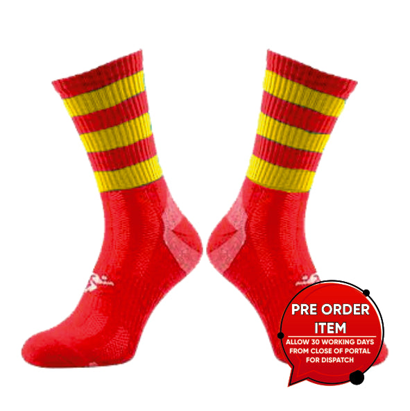 Pallaskenry College - Adult Midi Socks