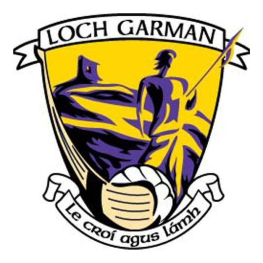 Wexford GAA Flags