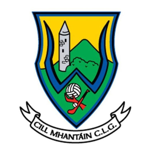 Wicklow GAA Flags